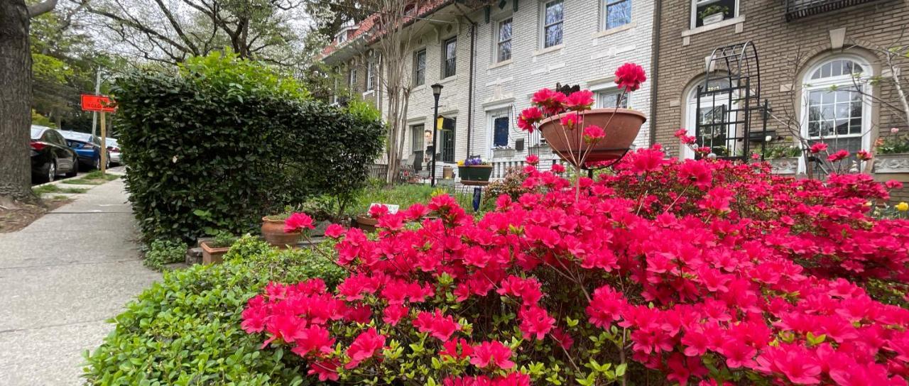 Wayside Inn Bed And Breakfast Ellicott City Dış mekan fotoğraf
